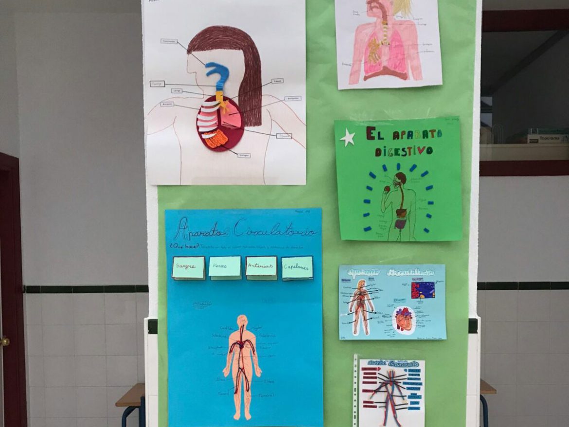 trabajo-ciencias-naturales-la-gaviota